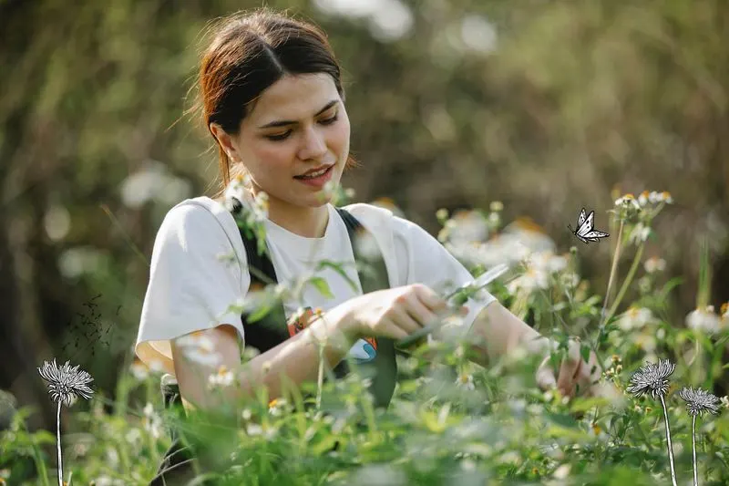 Plant Gathering