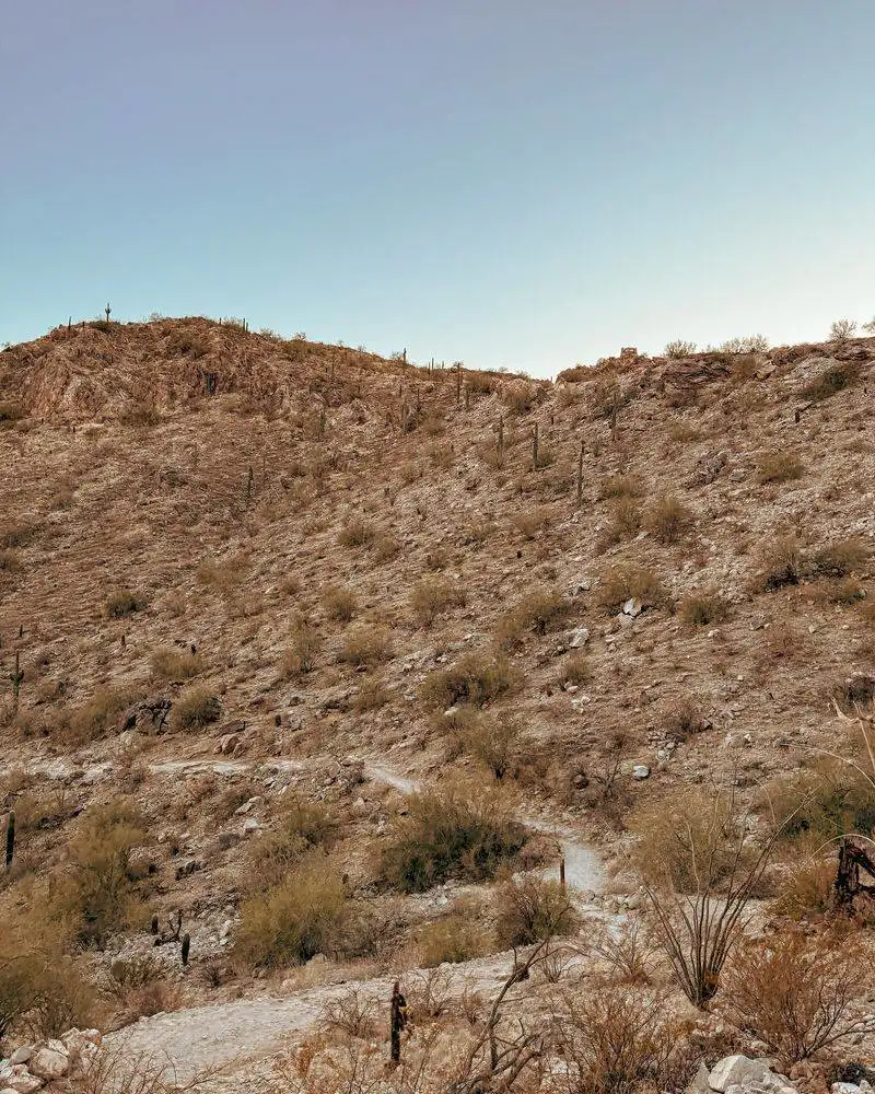 Desert Trails
