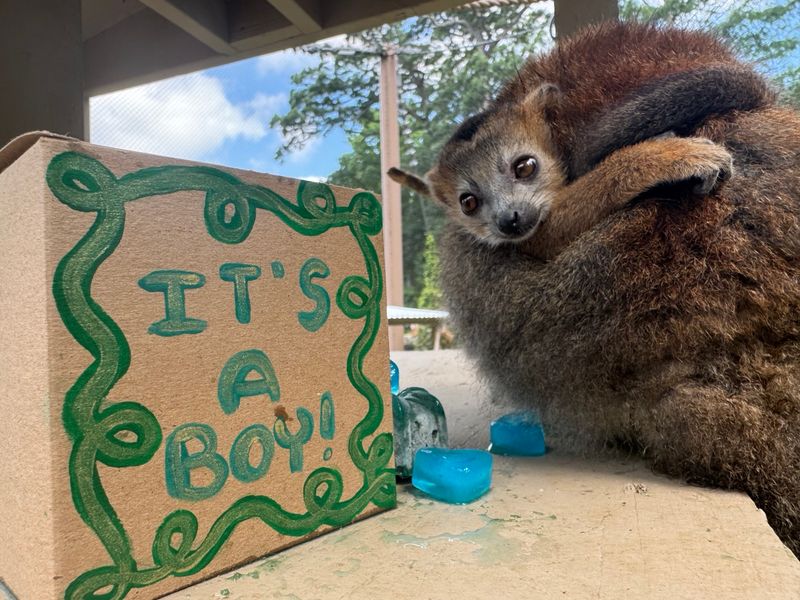Brandywine Zoo (Wilmington)