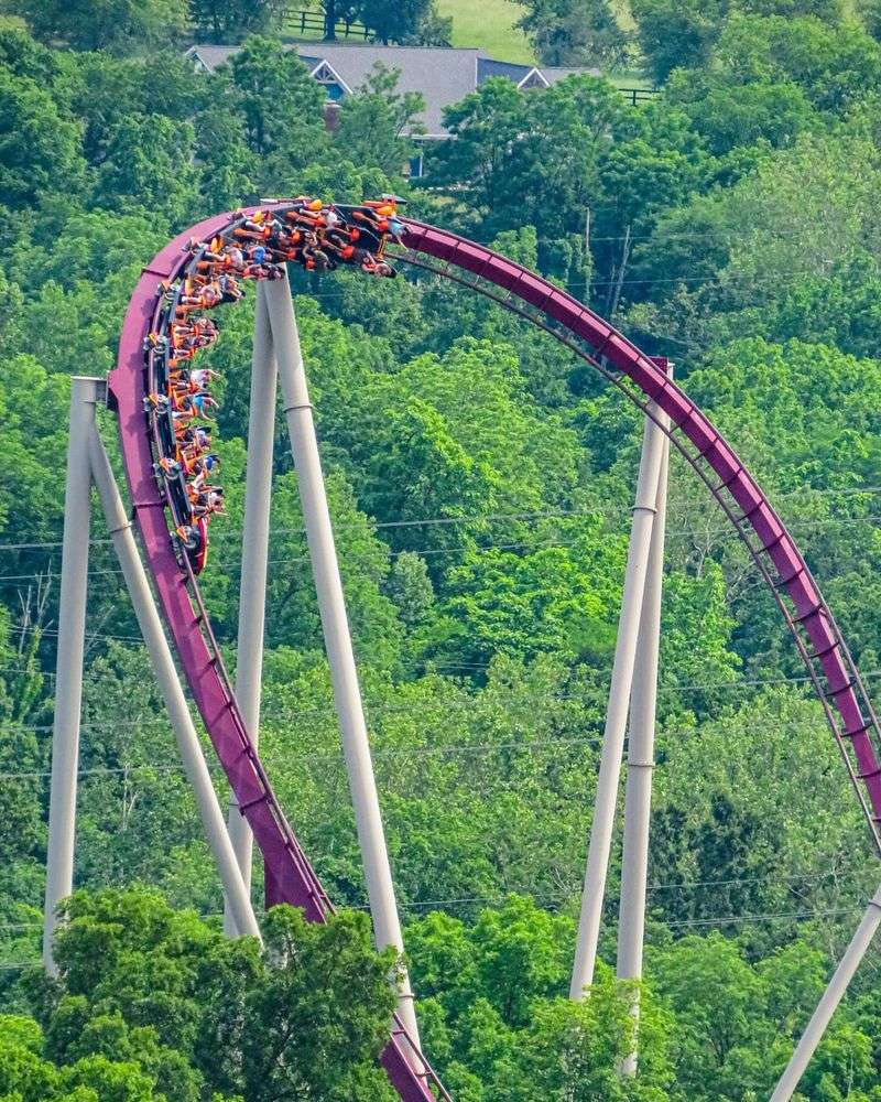 Diamondback's Green Borders