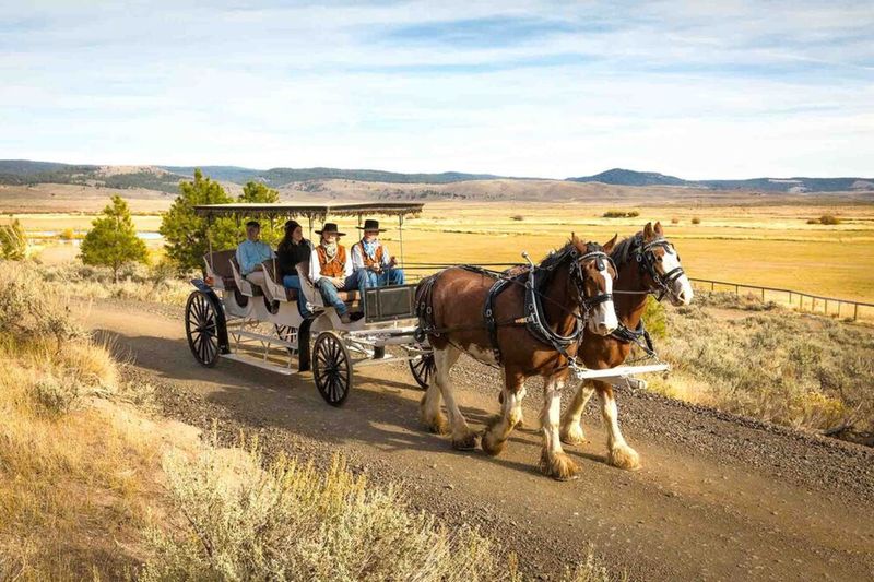 Small Town Farm Stays or Agritourism