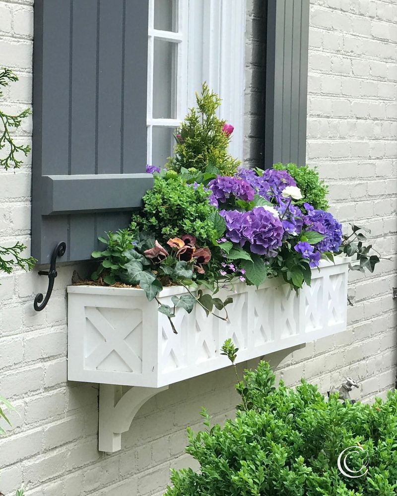 Window Boxes and Porch Gardens in Town