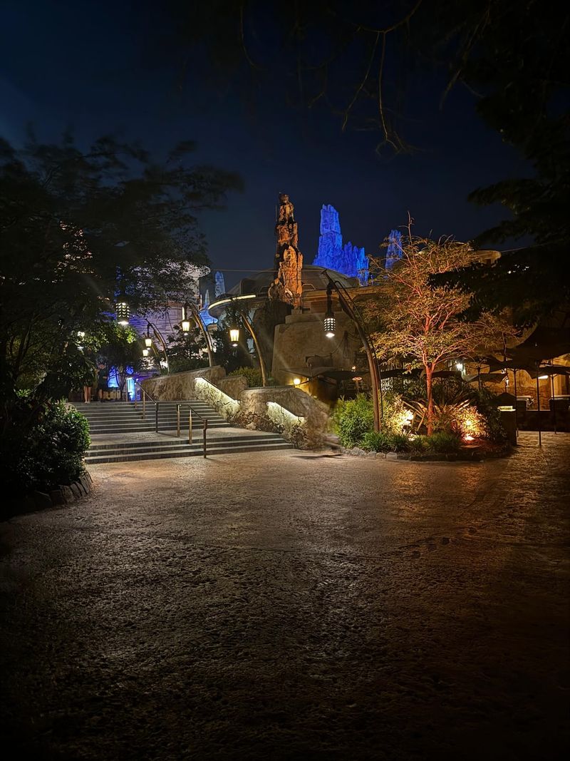 Night Lighting That Highlights Plant Forms