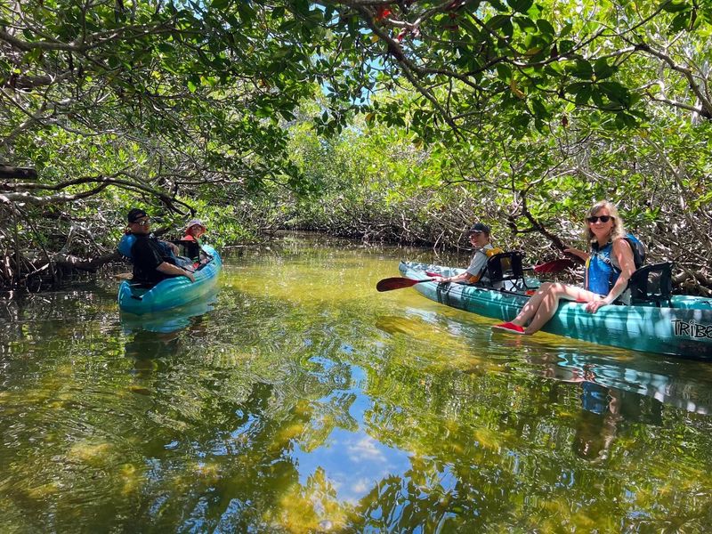 Kayak Rentals for Water Adventures