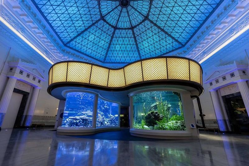 Shedd Aquarium