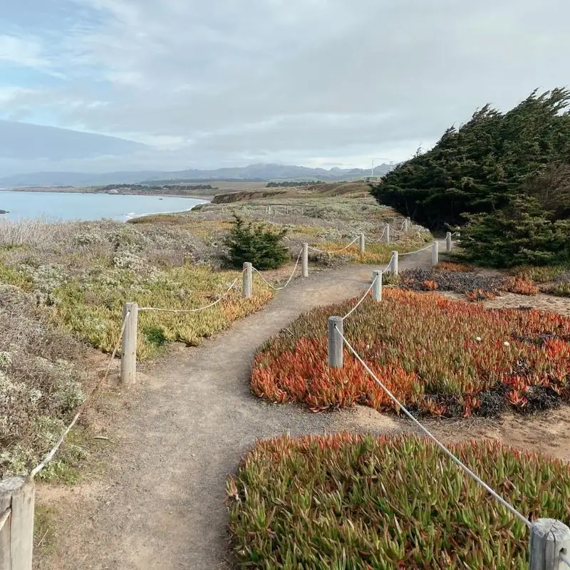 Cambria