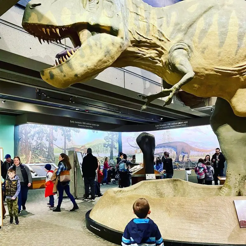 Museum of Science