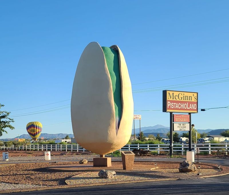 The World’s Largest Pistachio