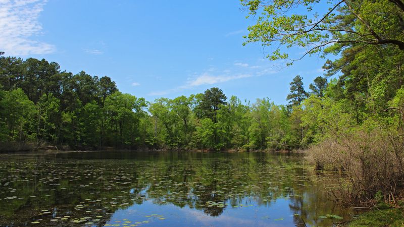 Big Sandy Creek