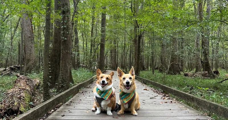 Congaree National Park (South Carolina)