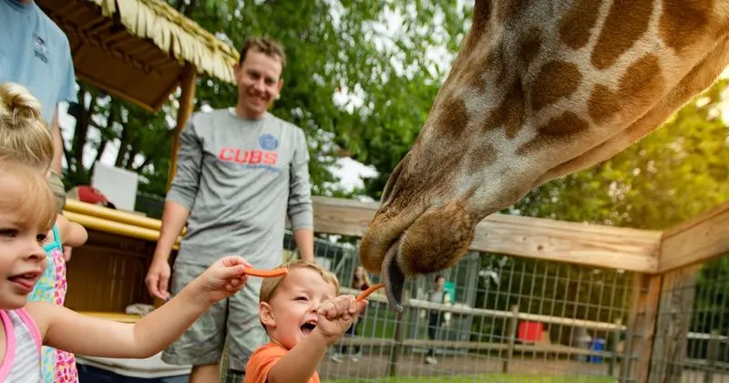 Toddler: Local Zoo
