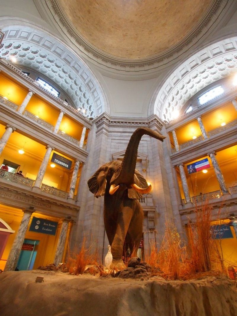 Smithsonian Institution