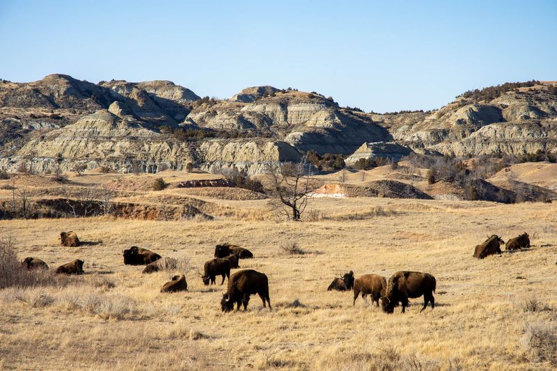 North Dakota – Theodore Roosevelt National Park