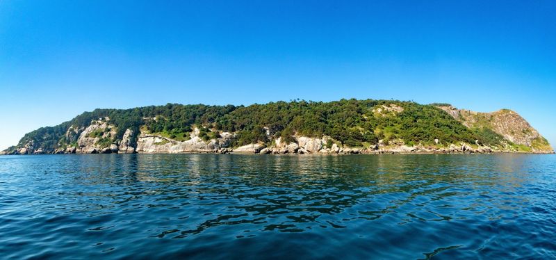 Snake Island (Ilha da Queimada Grande), Brazil