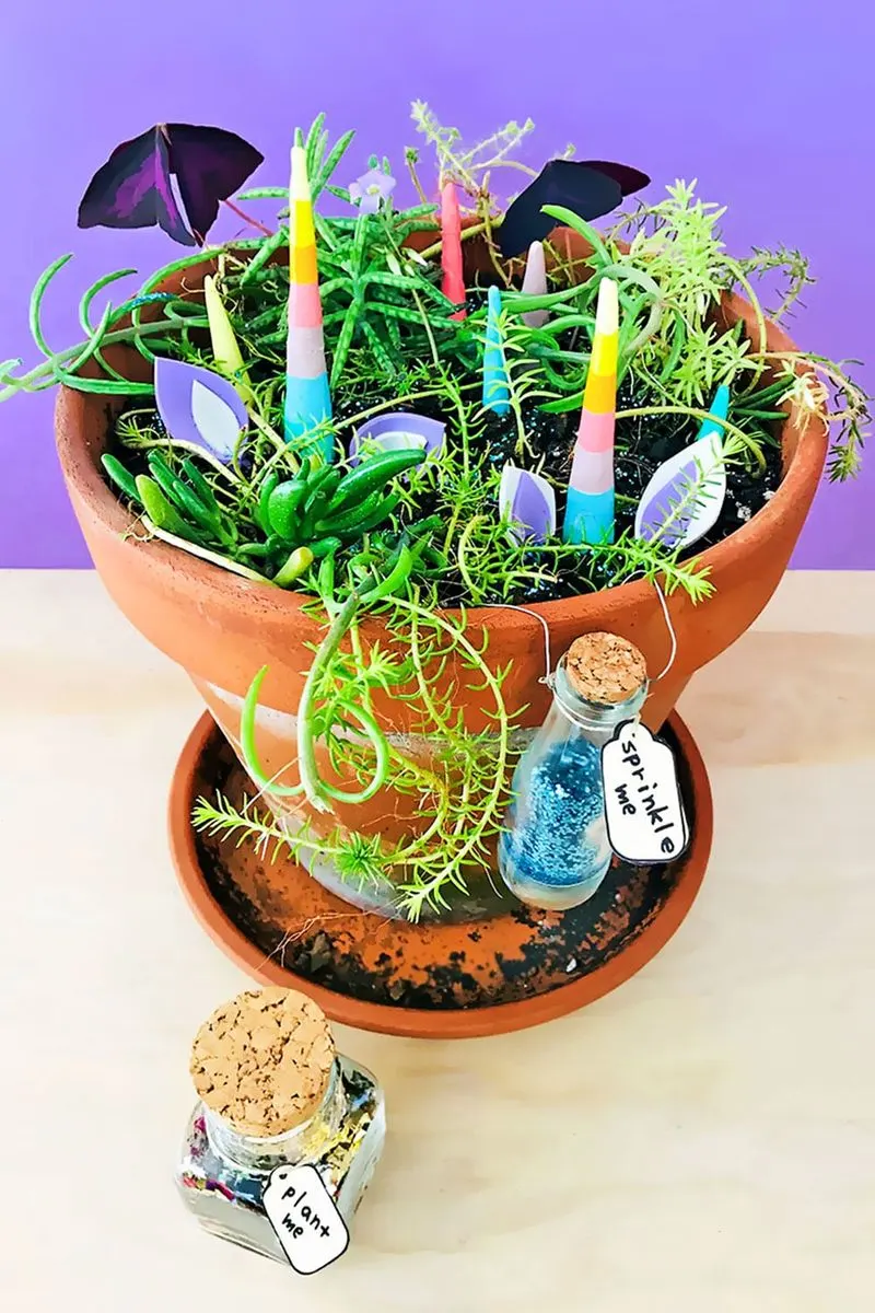 Mini Gardening Project