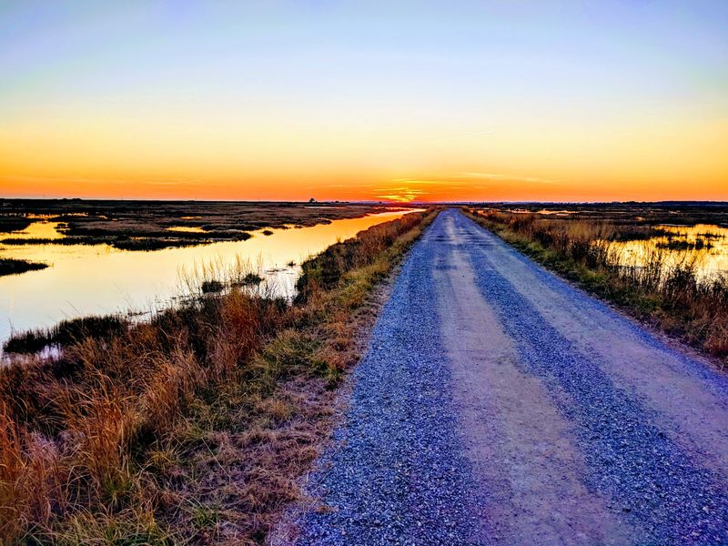 Deal Island Wildlife Management Area
