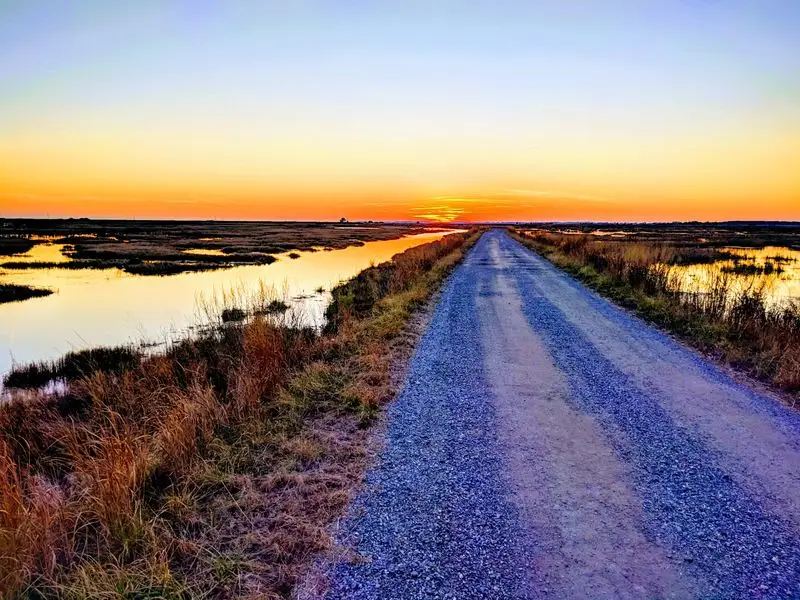 Deal Island Wildlife Management Area