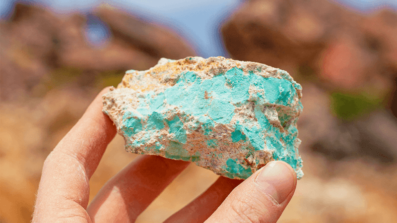 Rockhounding and Fossil Hunting