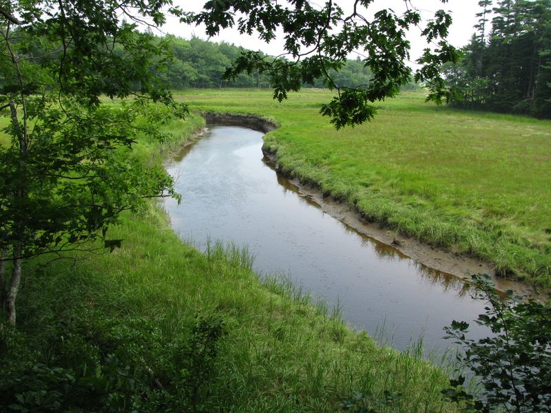 Rachel Carson Wildlife Refuge