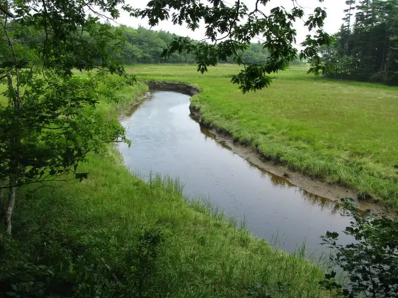 Rachel Carson Wildlife Refuge