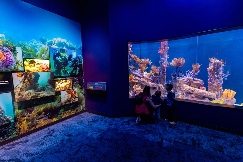 Birch Aquarium at Scripps