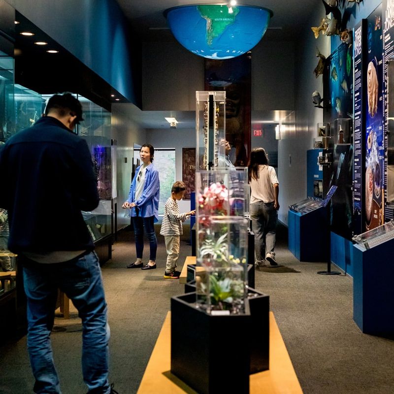 Cranbrook Institute of Science’s Detroit Historical Museum