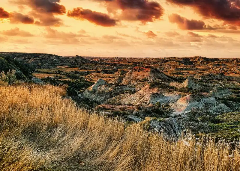 Theodore Roosevelt National Park (North Dakota)