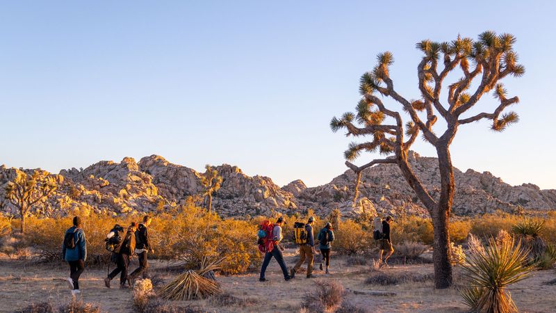 Joshua Tree National Park (California)