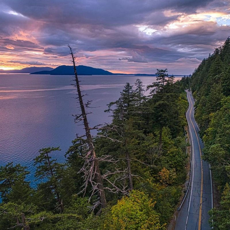 Bellingham – Chuckanut Drive and Seaside Flora