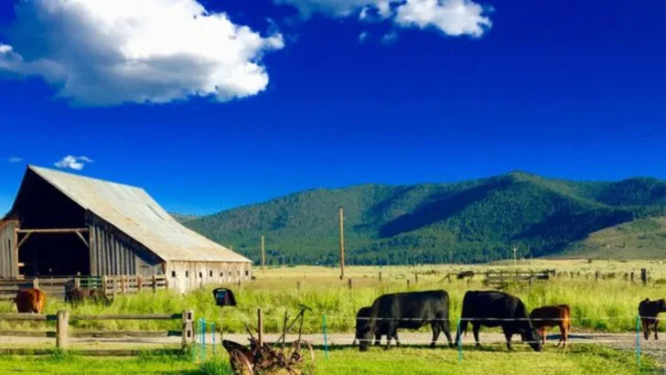 Once Almost as Big as L.A., This Quiet Mountain Town Is Now One of America’s Loneliest Places