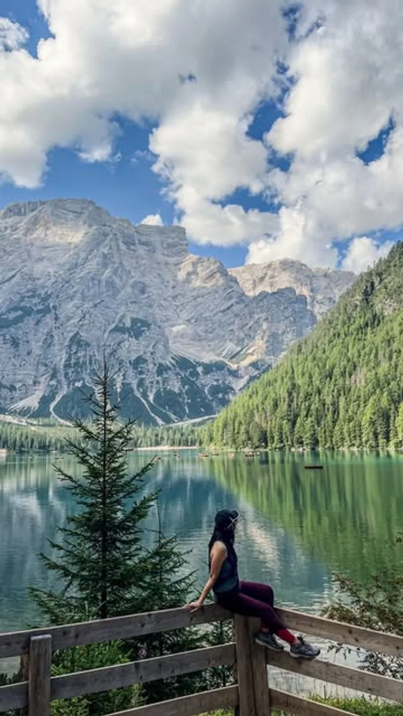 Swiss Pine Forests Hugging the Shoreline