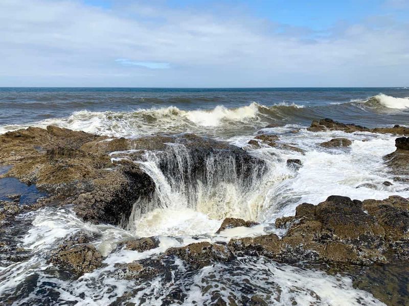 Cape Perpetua Scenic Area
