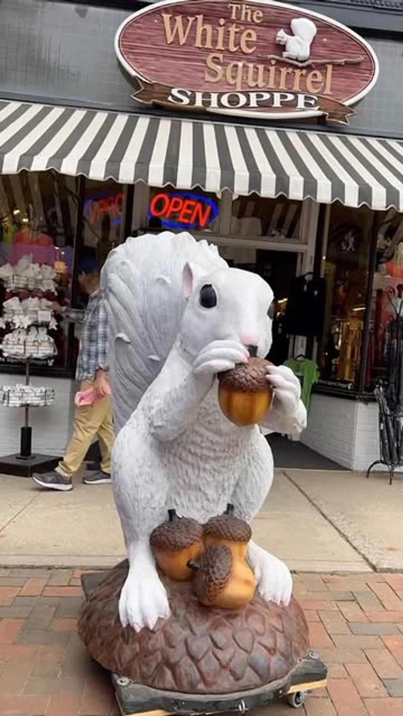 White Squirrel Festival