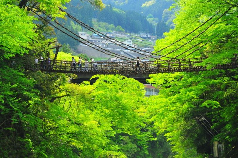 Iya Valley (Tokushima Prefecture)