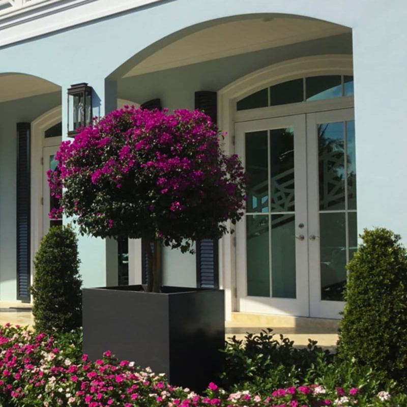 Some Guests Rearrange Patio Planters Without Knowing