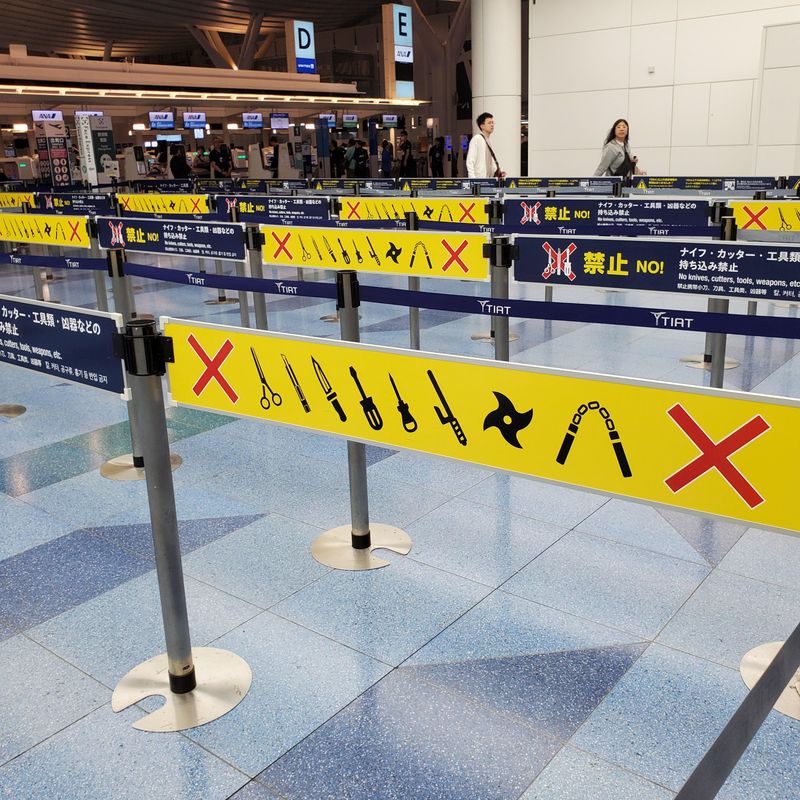 Carrying Prohibited Items