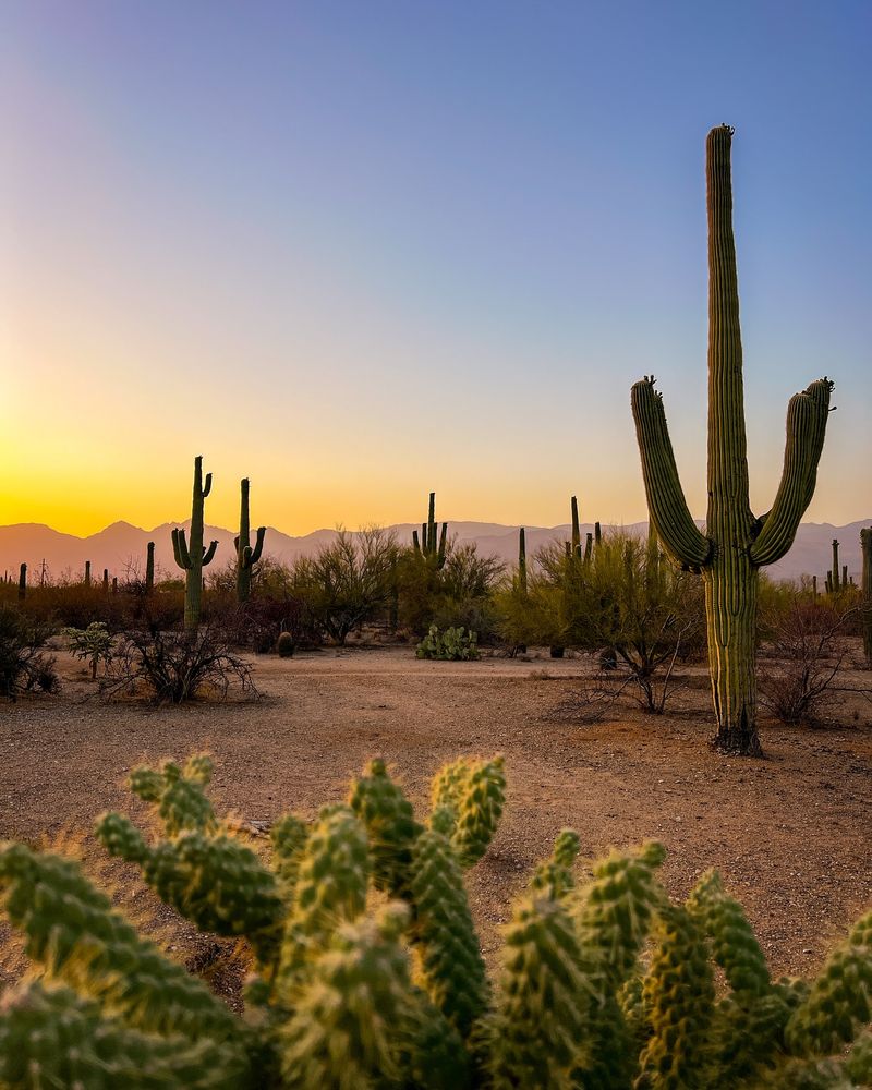 Southwest New Mexico