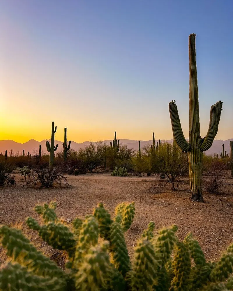 Southwest New Mexico