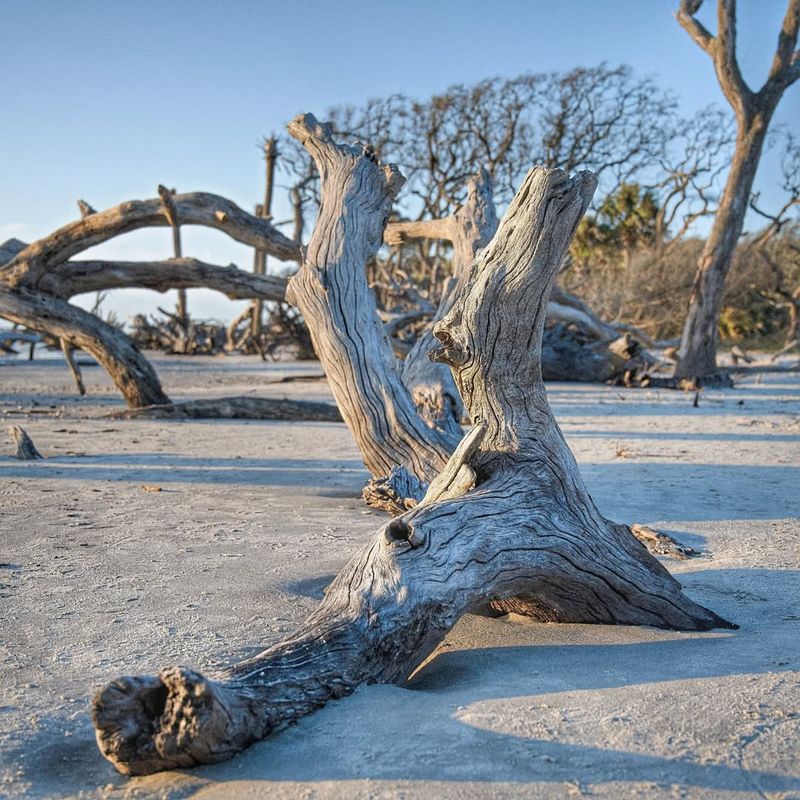 Jekyll Island, Georgia
