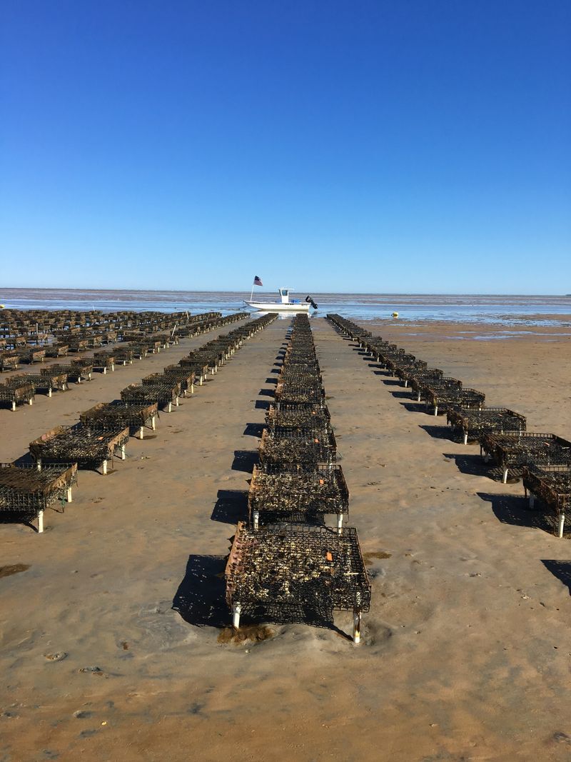 Brewster Oyster Flats