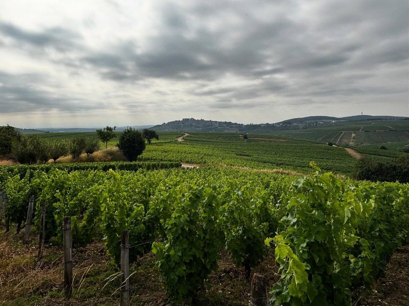 The Charming Village of Sancerre