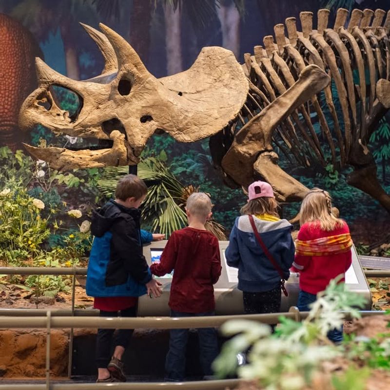 Carnegie Museum of Natural History, Pennsylvania