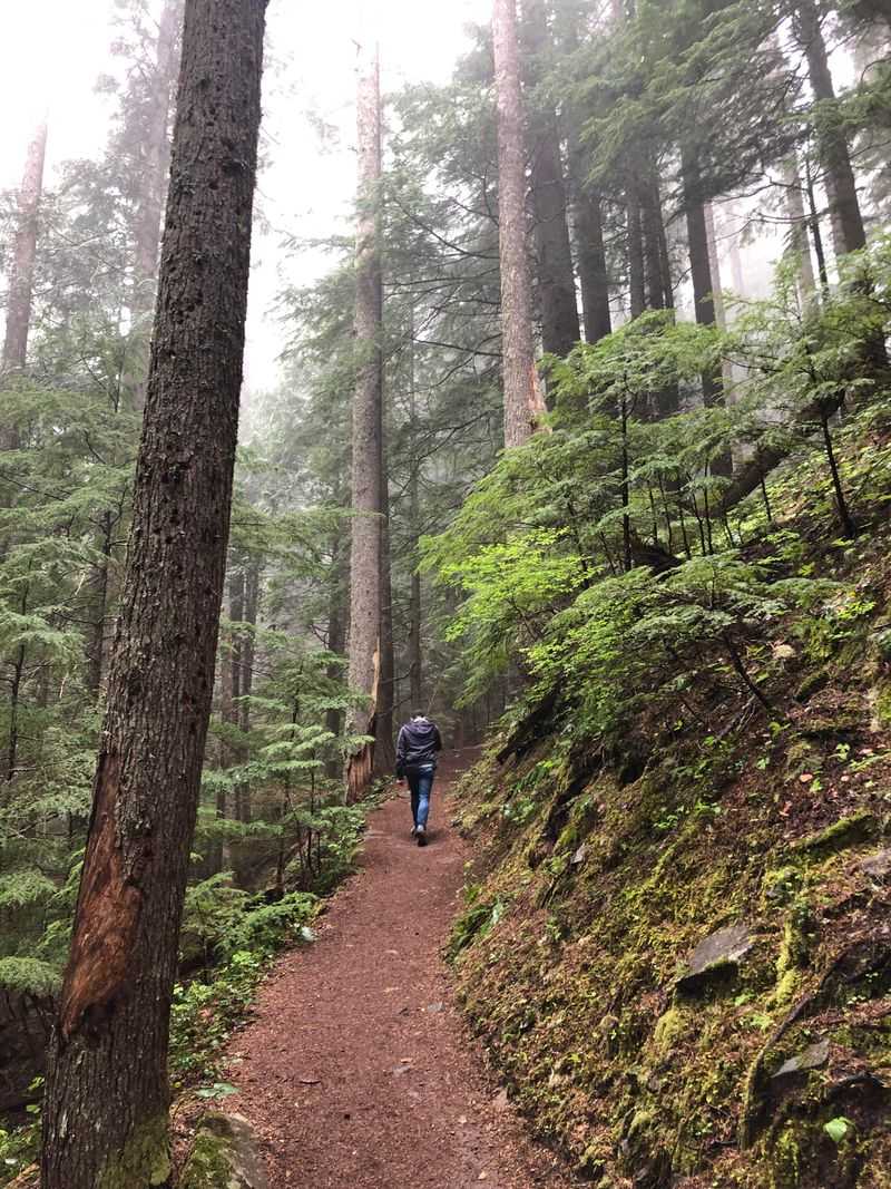 Practice Trail Etiquette