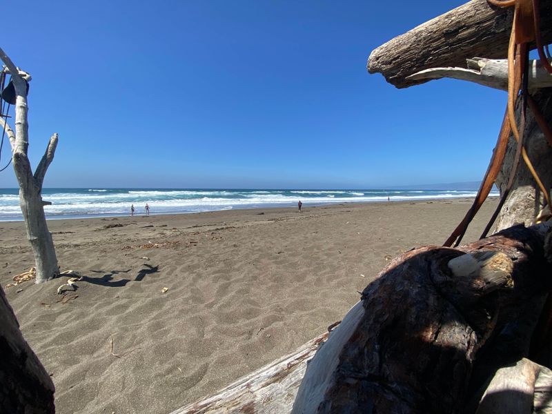Manchester State Park, California