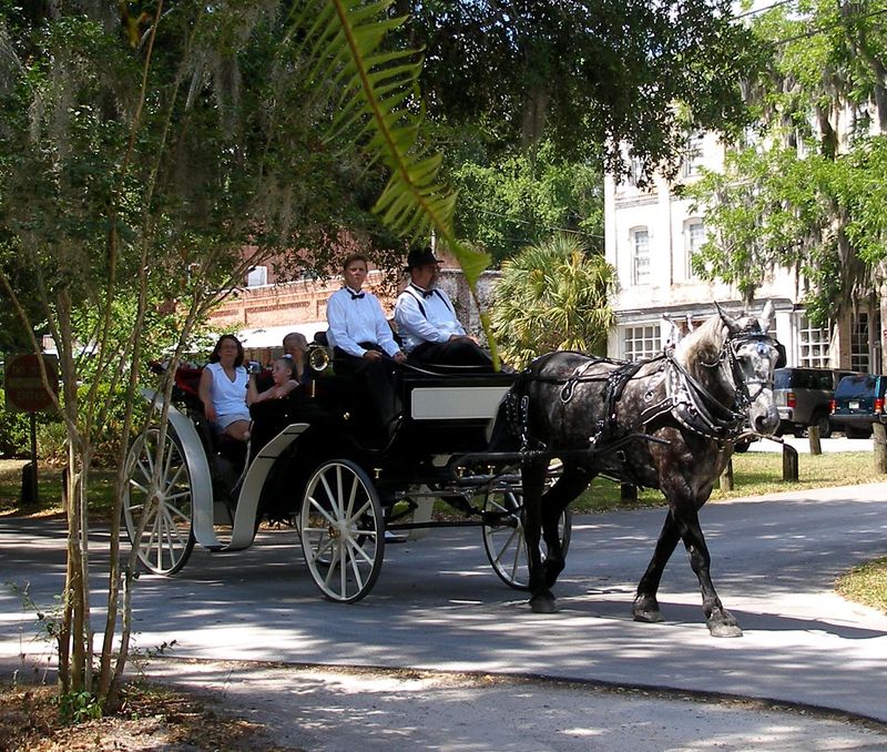 Micanopy Fall Festival