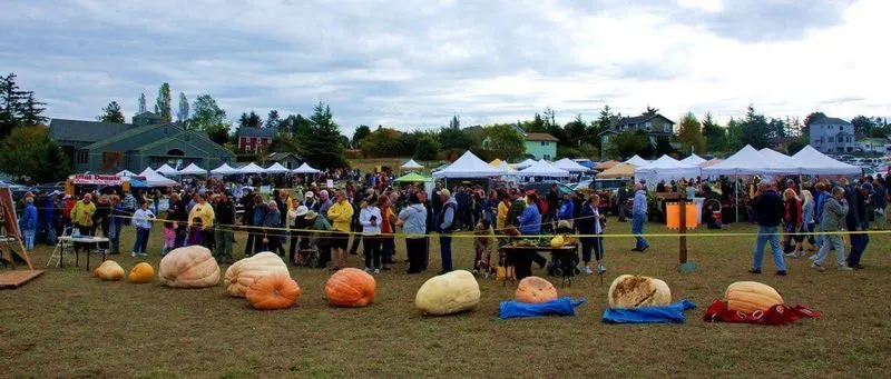 Seasonal Highlights and Events