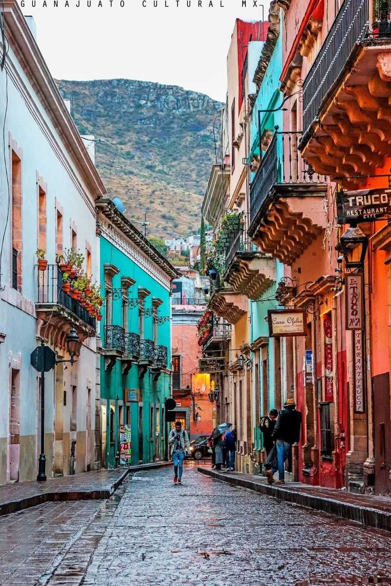Guanajuato, Mexico – Rooftop Gardens with Succulents