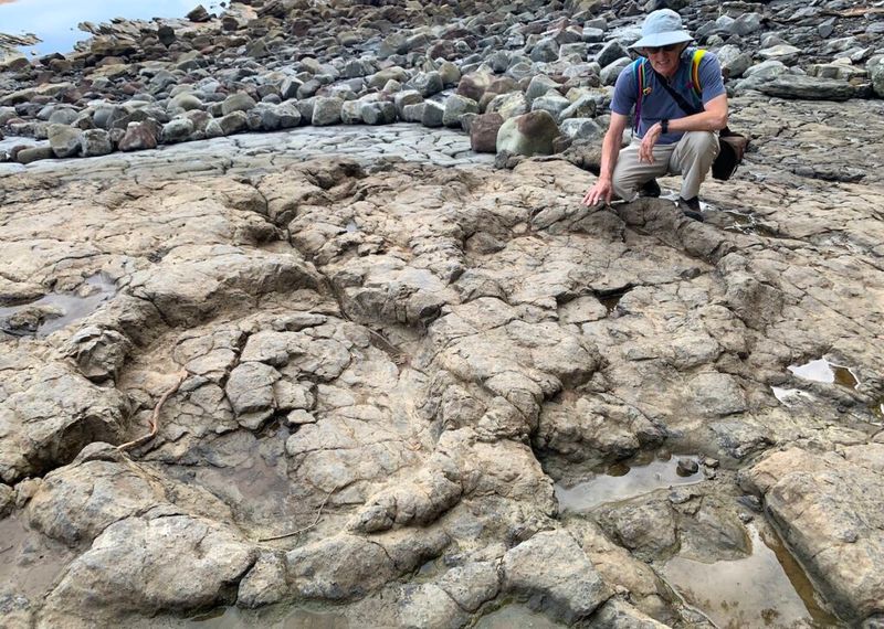 Asturias' Dinosaur Coast, Spain