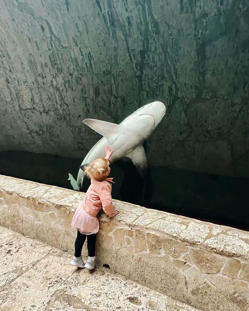 Dallas World Aquarium
