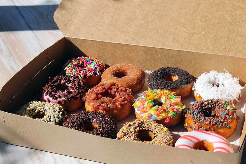 Donut Experiment — Anna Maria Island
